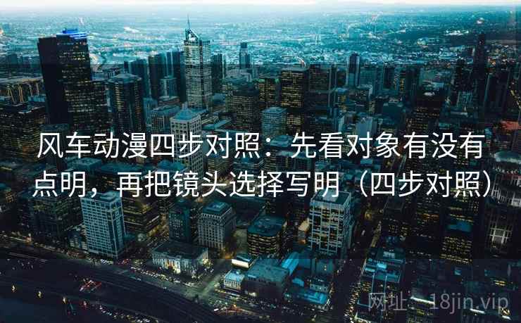 风车动漫四步对照:先看对象有没有点明,再把镜头选择写明(四步对照) 风车动漫四步对照:先看对象有没有点明,再把镜头选择写明(四步对照)